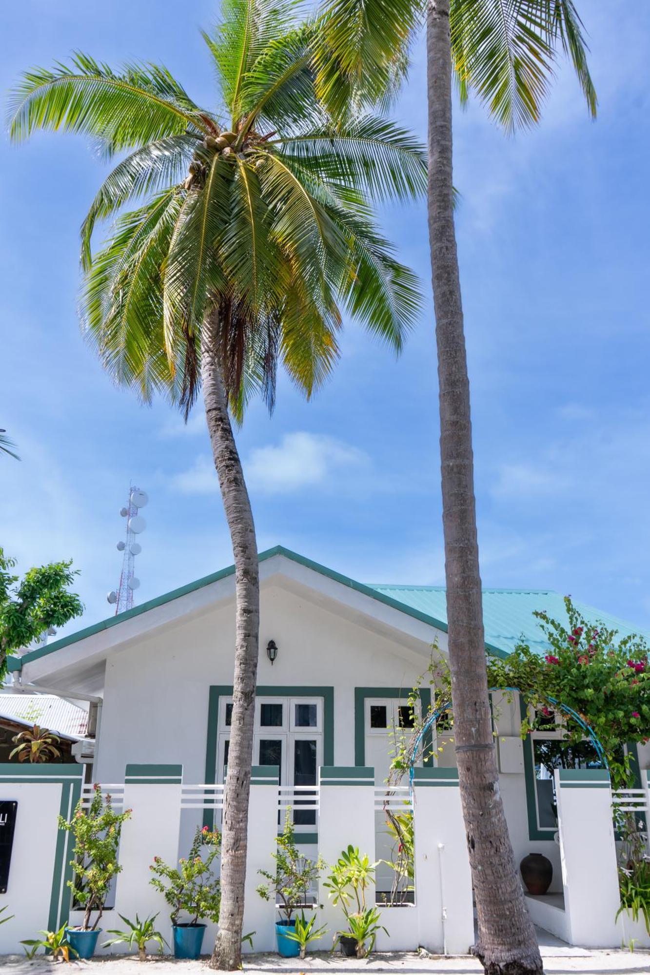 Vaali Maldives Island Escapes & Dive Felidhoo Exterior foto